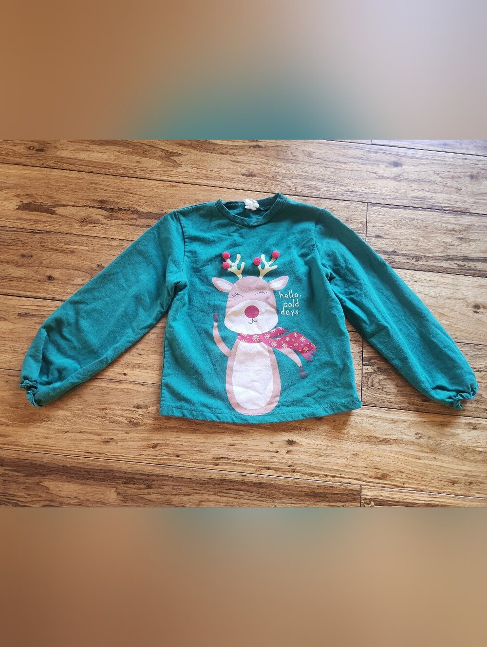 Holidays Green Reindeer Graphic Pullover Sweatshirt Crew Neck Cotton 8T